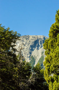 Scenic view of trees and mountains against clear blue sky
