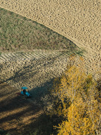 High angle view of man walking on beach