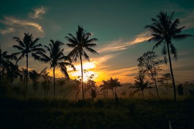 Silhouette palm trees against sky during sunset