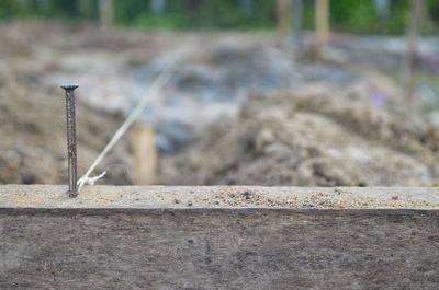 Close-up of crane against wall