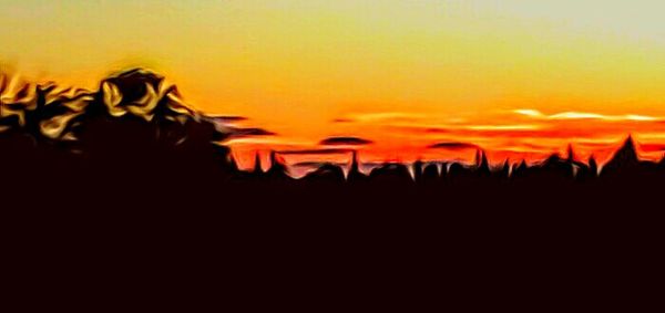 Silhouette trees at sunset