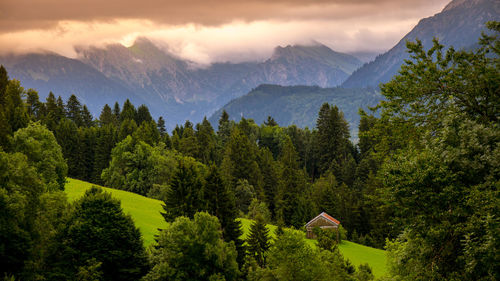 Scenic view of trees and mountains against sky