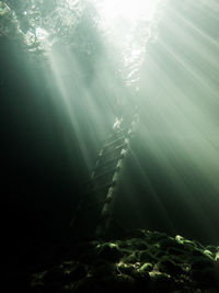 Sunlight swimming in sea