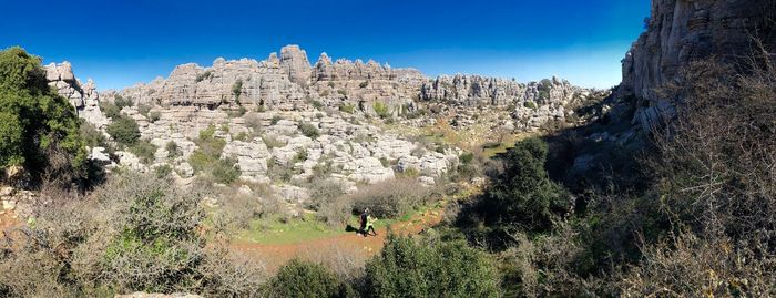 Panoramic view of trees on mountain against sky