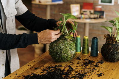 Hands of man preparing kokedama houseplant on table at home