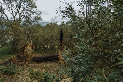 Man standing by trees in forest