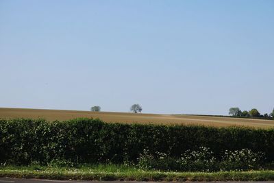 Scenic view of field against clear sky