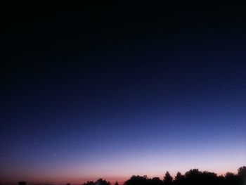 Low angle view of trees against sky