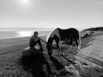 Woman with horse at beach against sky during sunny day