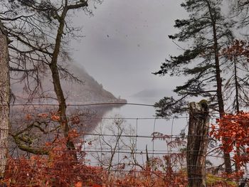 Trees by lake against sky during autumn