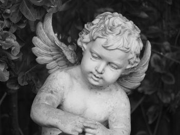 Close-up of statue against plants