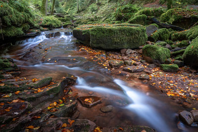 Stream flowing through rocks in forest