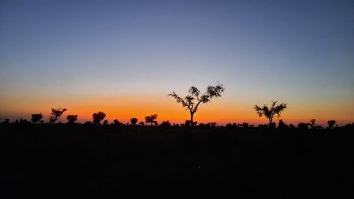 Silhouette trees on field against clear sky during sunset