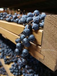 Close-up of blueberries on table