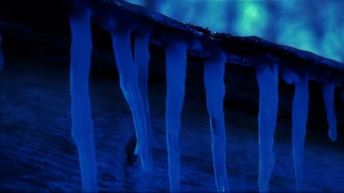 Close-up of icicles at night