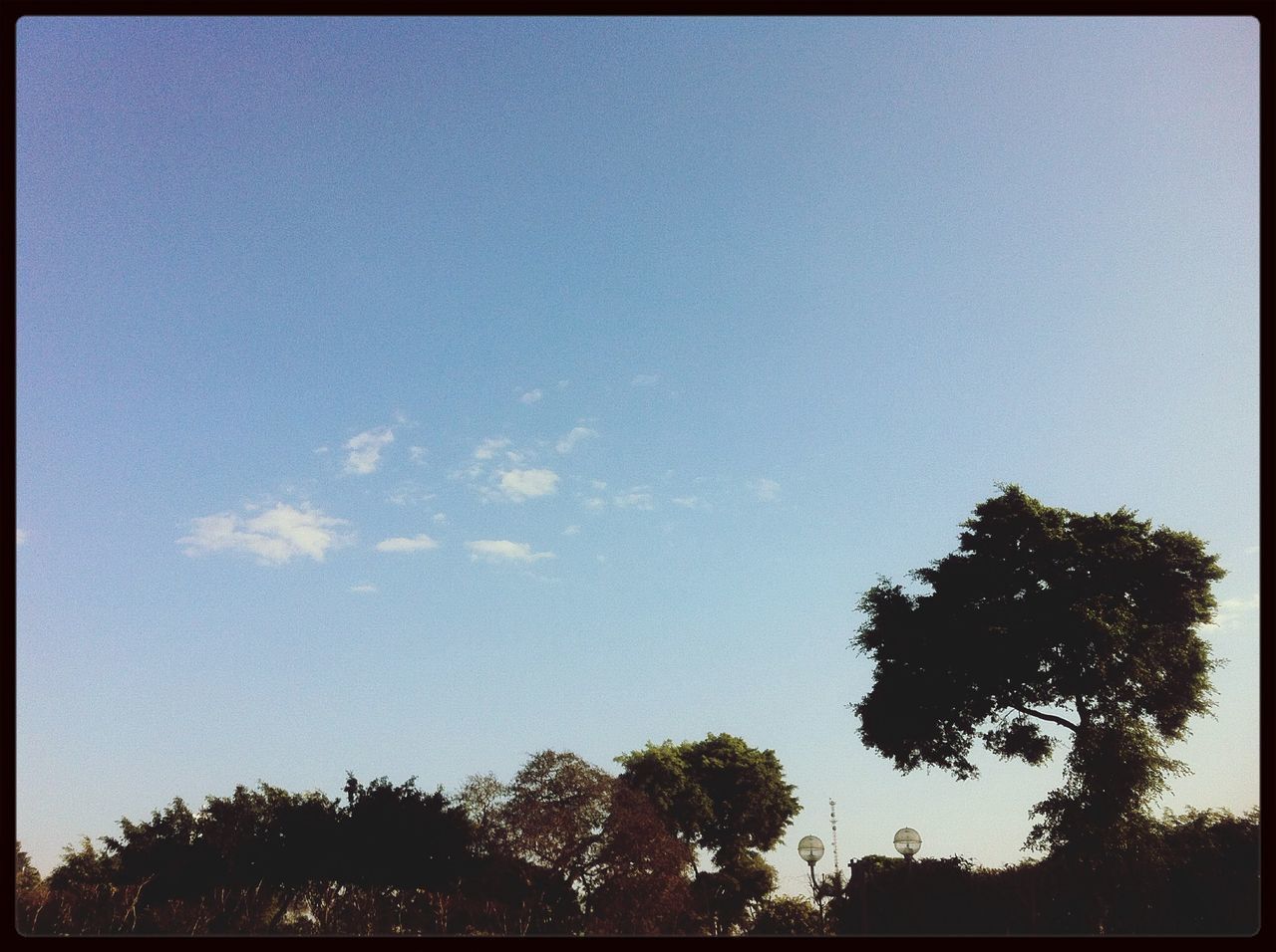 transfer print, tree, auto post production filter, low angle view, tranquility, sky, beauty in nature, silhouette, tranquil scene, scenics, nature, growth, copy space, blue, clear sky, outdoors, branch, high section, idyllic, no people