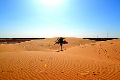 Scenic view of desert against clear sky