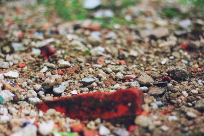 Close-up of stones