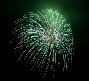 Low angle view of fireworks against sky at night