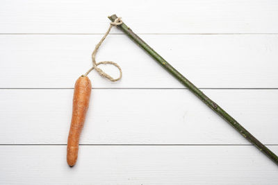 The carrot tied at the stick on a white wooden background 