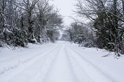 Snow covered road amidst trees during winter