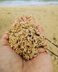 Close-up of person hand holding sand