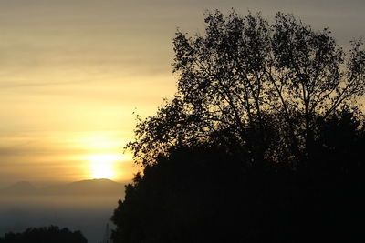 Silhouette tree against sky during sunset