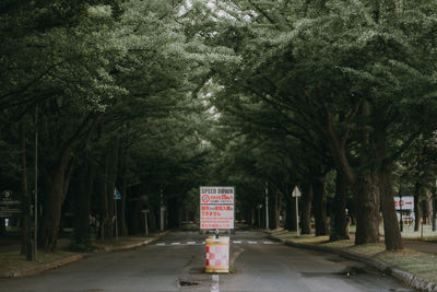 Empty road amidst trees