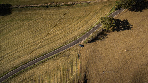 High angle view of agricultural field