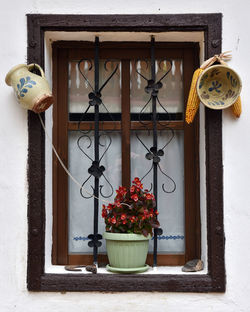 Potted plant against wall