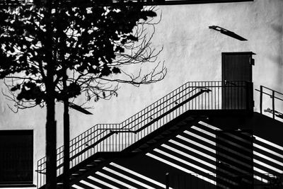 Low angle view of silhouette tree against building