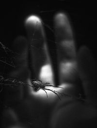 Close-up of woman at night