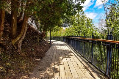 Footbridge over footpath amidst trees