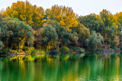 Scenic view of lake in forest during autumn