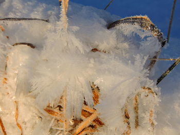 Close-up of frozen water