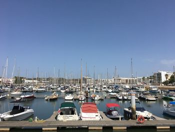 Boats moored at harbor against clear sky