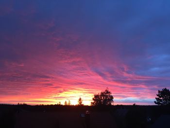 Silhouette of trees at sunset