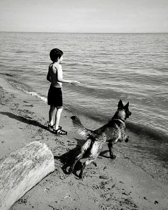 FULL LENGTH OF MAN WITH DOG ON BEACH