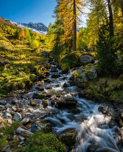 Stream flowing through rocks in forest