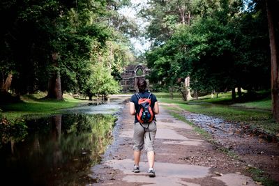 Rear view of man walking on footpath amidst trees