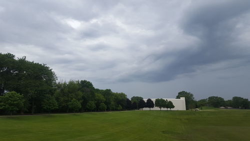 Trees on field against sky