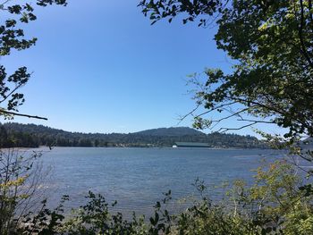 Scenic view of lake against clear sky