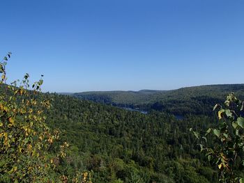 Scenic view of landscape against clear blue sky