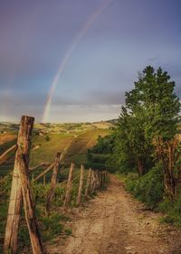 Scenic view of field