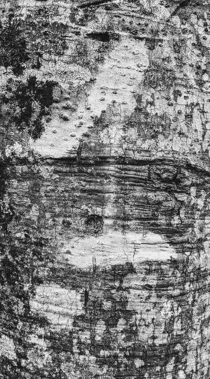 backgrounds, textured, full frame, pattern, no people, black and white, rough, weathered, old, day, damaged, monochrome photography, abstract, monochrome, close-up, wood, tree, wall - building feature, rock, wall, outdoors, sketch, drawing, architecture, paint, rundown, built structure, dirt, soil, peeling off