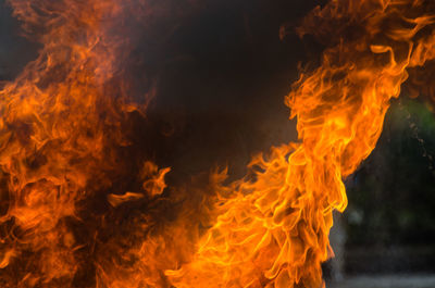 Close-up of fire at night