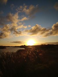 Scenic view of field against sky during sunset