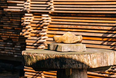 Stack of logs in forest