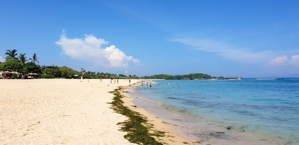 Scenic view of beach against blue sky