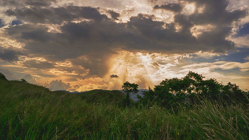 Scenic view of field against sky during sunset